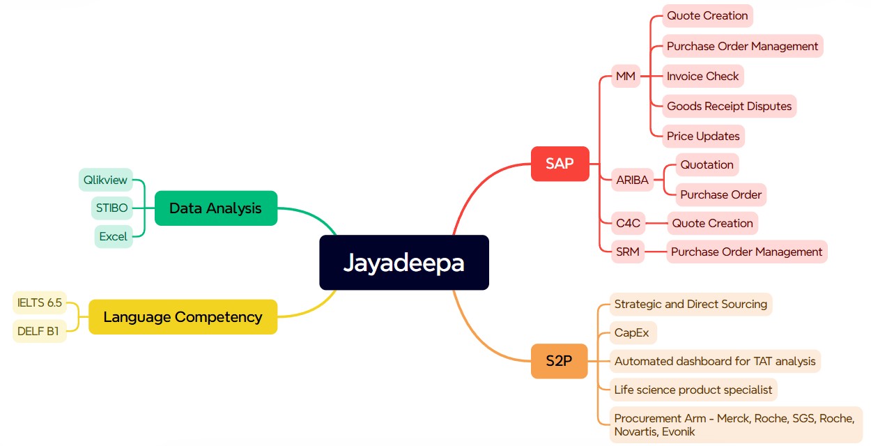 Professional Experience